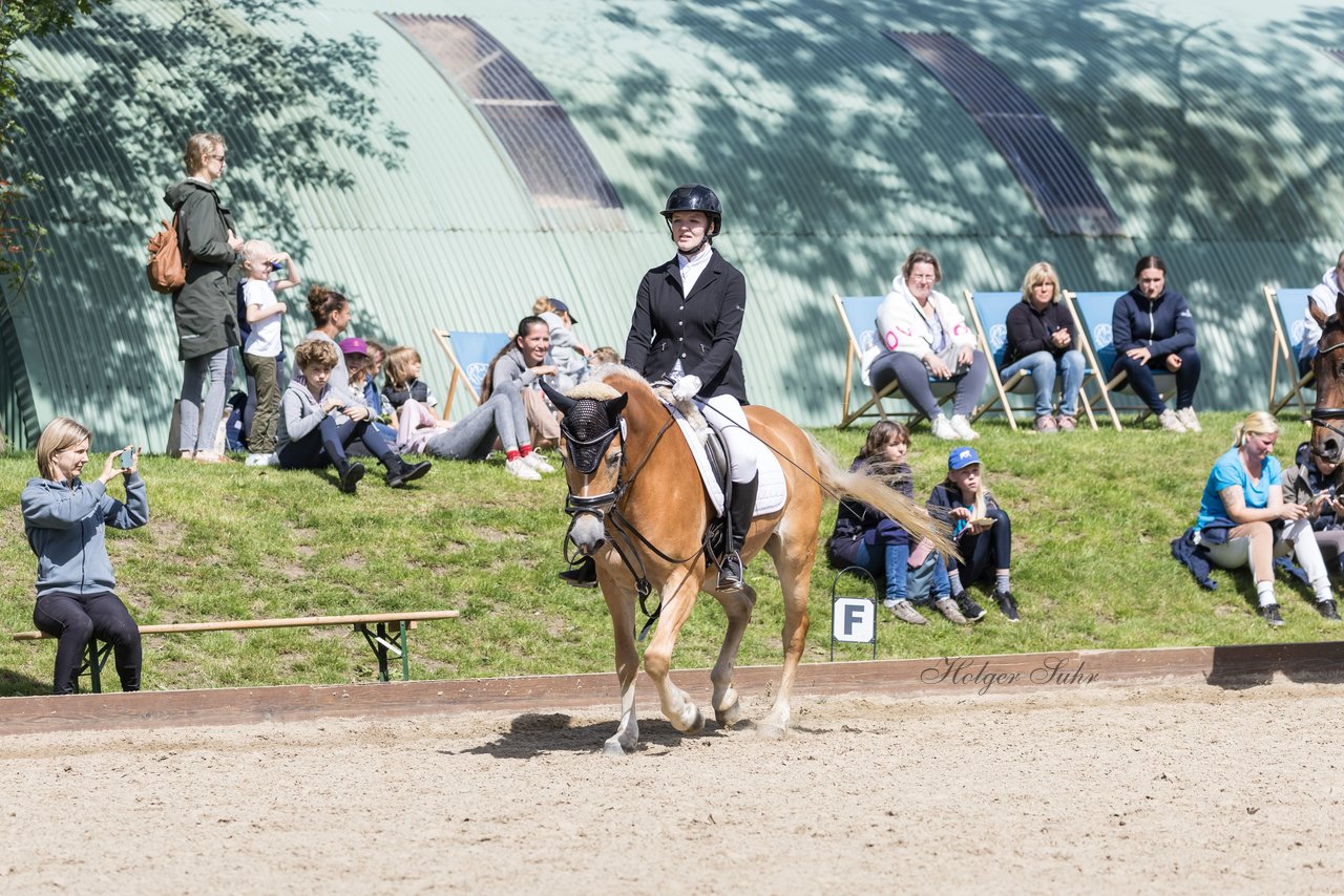 Bild 76 - Pony Akademie Turnier